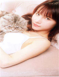 《元龙动漫免费观看-男人的战争全集》